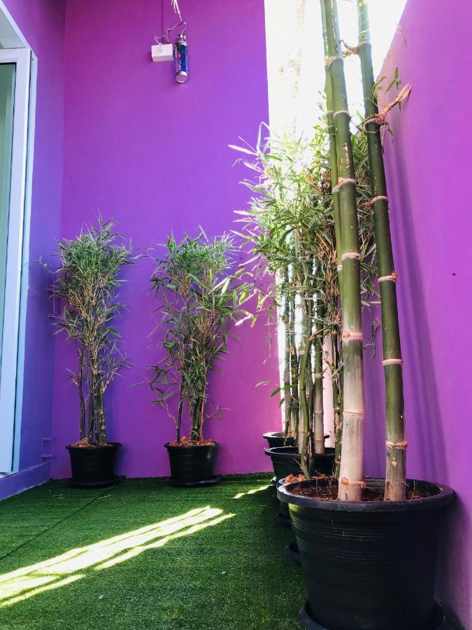 Supalakhouse Hostel Чиангмай Екстериор снимка